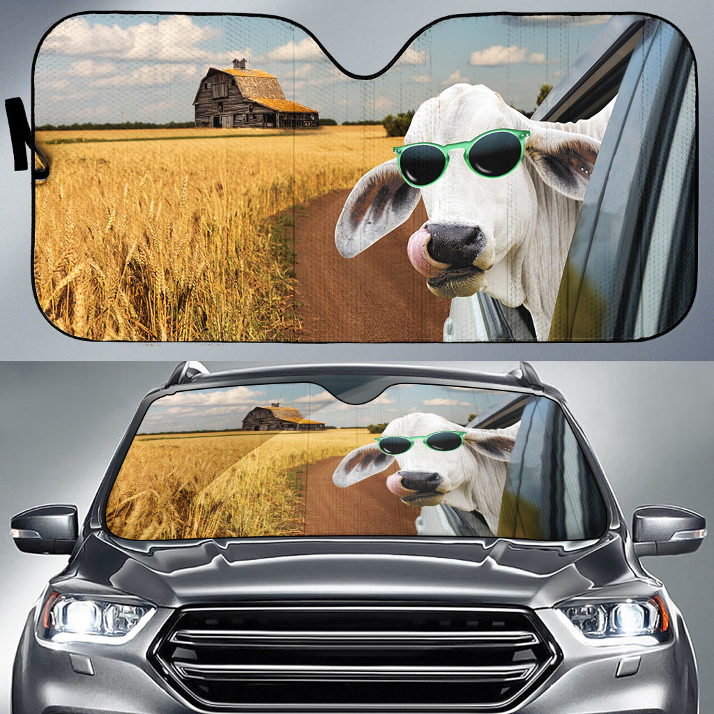Brahman Happiness 3D Sun Shade